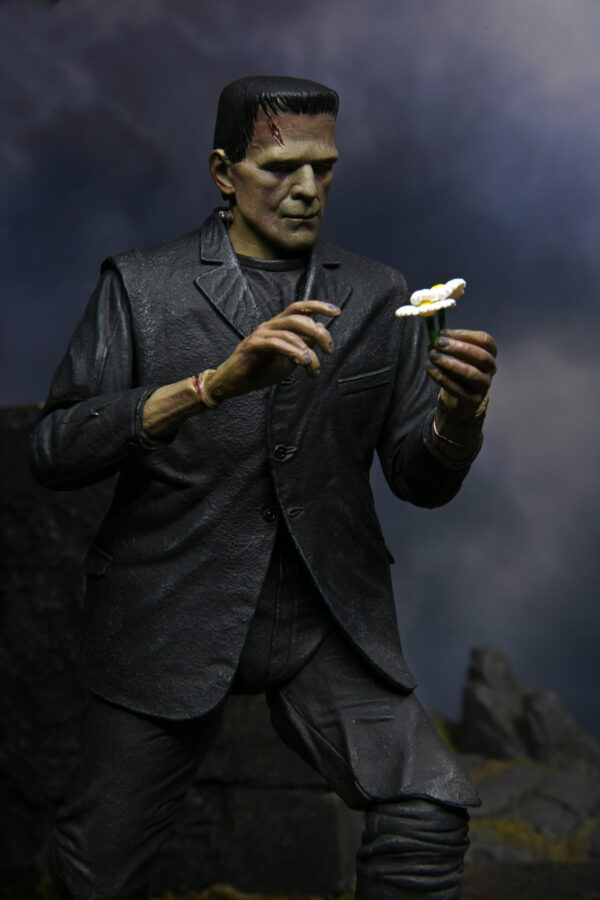 Frank18-scaled-1.jpg 7″ Scale Action Figure – Ultimate Frankenstein’s Monster (COLOR)
