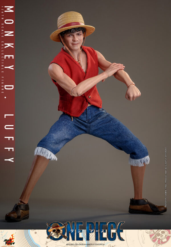 Monkey D. Luffy Sixth Scale Figure