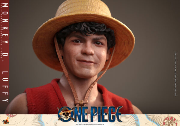 Monkey D. Luffy Sixth Scale Figure